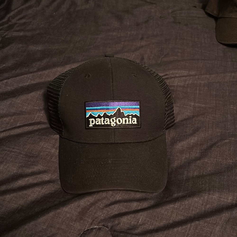 Patagonia Adjustable Hat